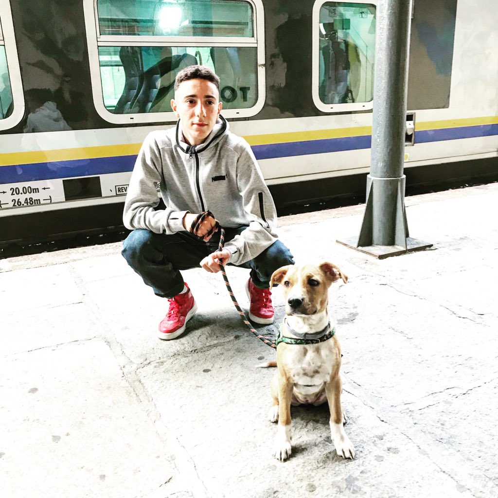 Juve_Manu's tweet photo. #NuovaFotoProfilo https://t.co/LsKh1wev0n