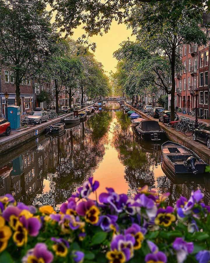 Carlos Tim beta sdv (@lericemuniz) on Twitter photo 