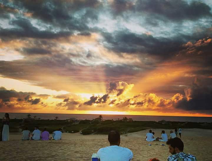 Carlos Tim beta sdv (@lericemuniz) on Twitter photo 