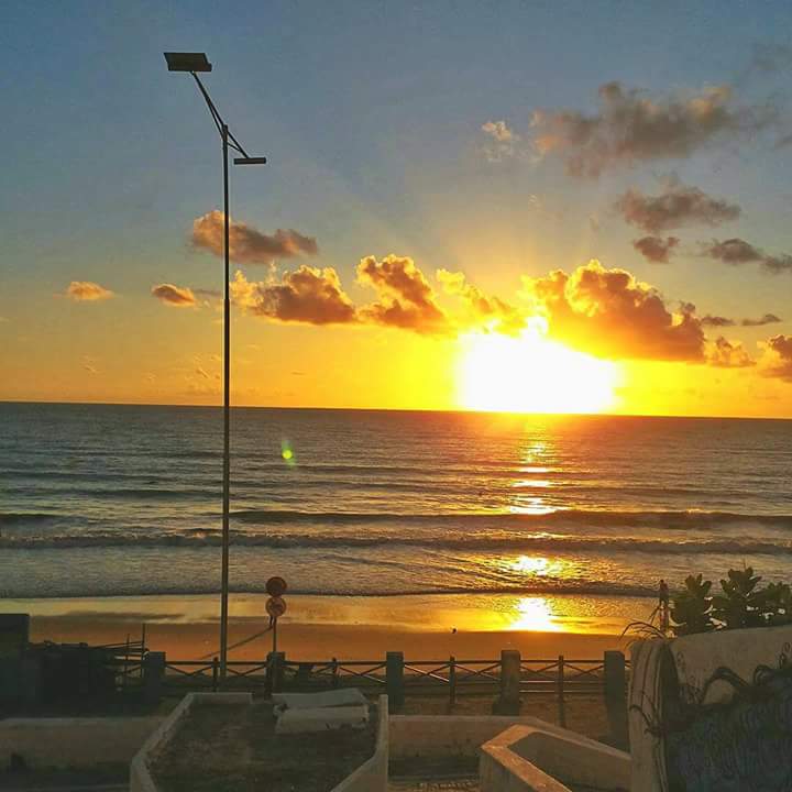 Carlos Tim beta sdv (@lericemuniz) on Twitter photo 