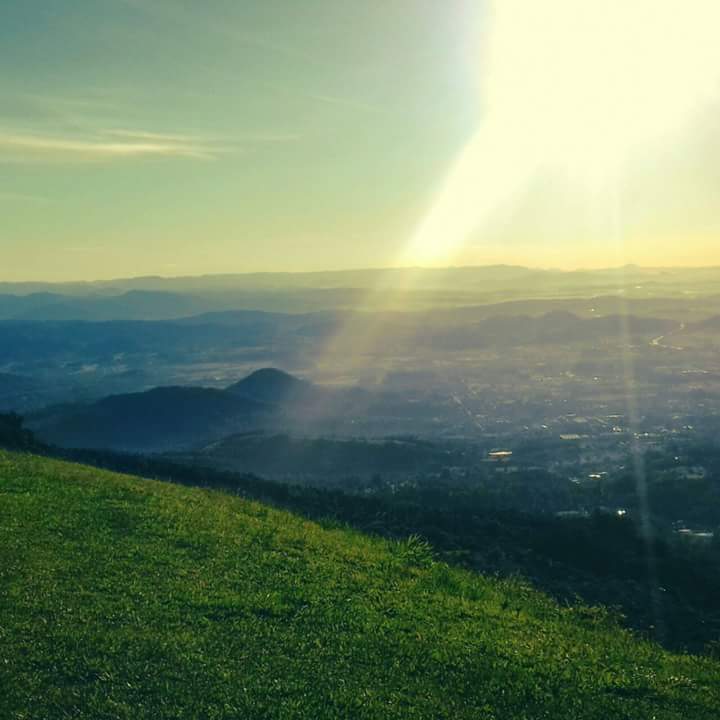 Carlos Tim beta sdv (@lericemuniz) on Twitter photo 