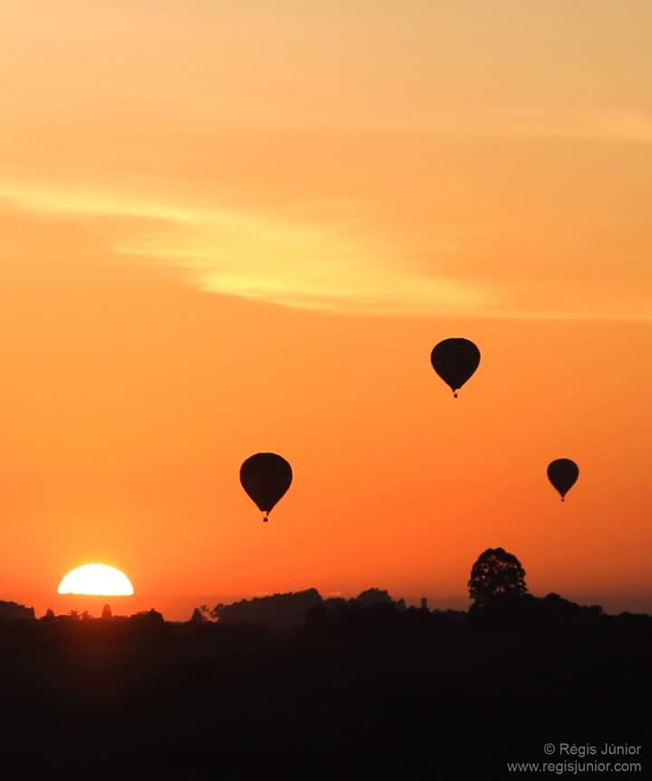 Carlos Tim beta sdv (@lericemuniz) on Twitter photo 