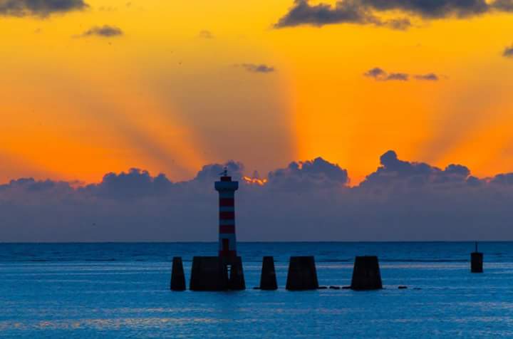 Carlos Tim beta sdv (@lericemuniz) on Twitter photo 