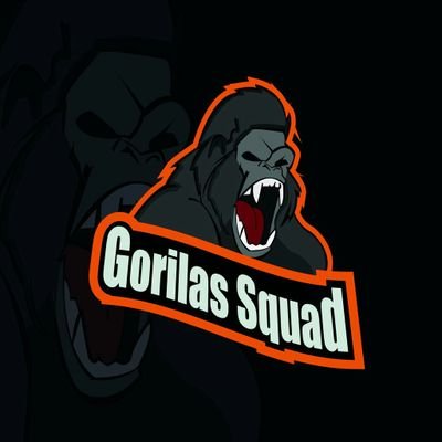 LigaBulls's tweet photo. HOY ES EL 2 PARTIDO DEL GRUPO B HOY SE ENFRENTAN A LAS 6 PM MX @FuriaLatinaCR  VS @GorilasSquad SUERTE A LOS EQUIPO VAMOS CON TODO BULLS https://t.co/HkZlcfQ48G