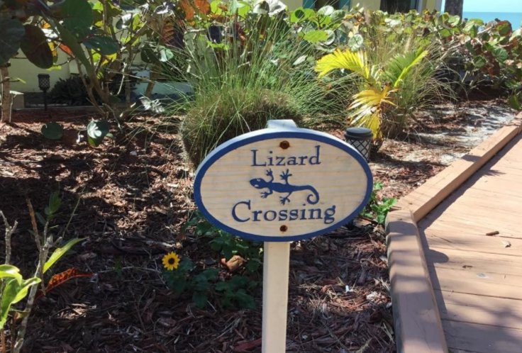 PearlBeachInnFL's tweet photo. Lindy's favorite sign here at the Pearl Beach Inn on #ManasotaKey Florida! #LizardCrossing #SWFL https://t.co/qPA24bClPe https://t.co/F2kT6jl2LU