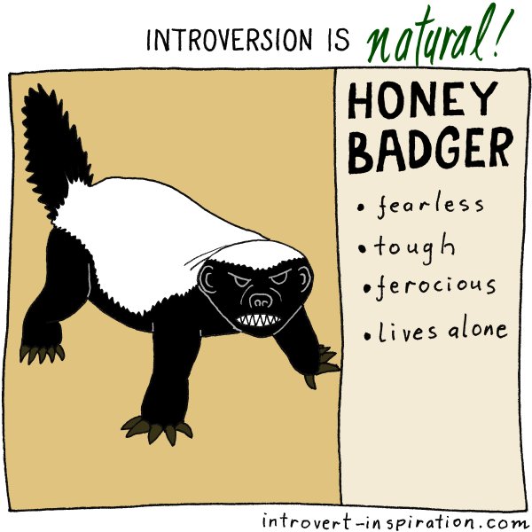 IntrovertZayts's tweet image. The toughest animal on our planet is an introvert. Good to know.
#introvertanimals #introvert #honeybadger