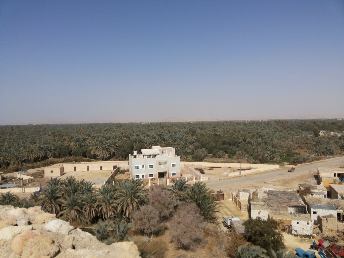 yasmine_samir21's tweet photo. a simple Bedouin life🌴🌵
#siwaoasis #exploringegypt #westerndessert #thisisegypt https://t.co/TU5BdCnnCC
