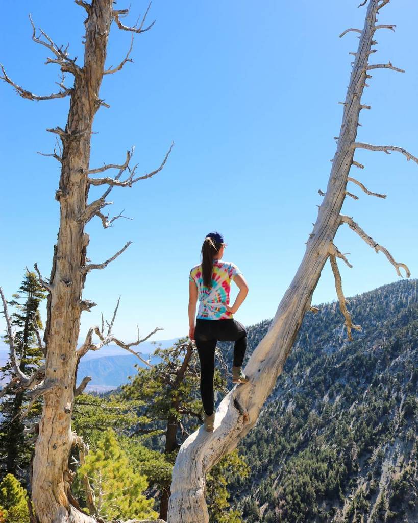 @brianneschaer taking in the view en route to Cucamonga Peak! Where are you hiking this weekend? #CoastTrekkers instagram.com/p/BZrwtMYAXgk/