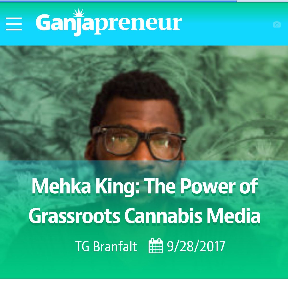 CashColorCannabis tweet media