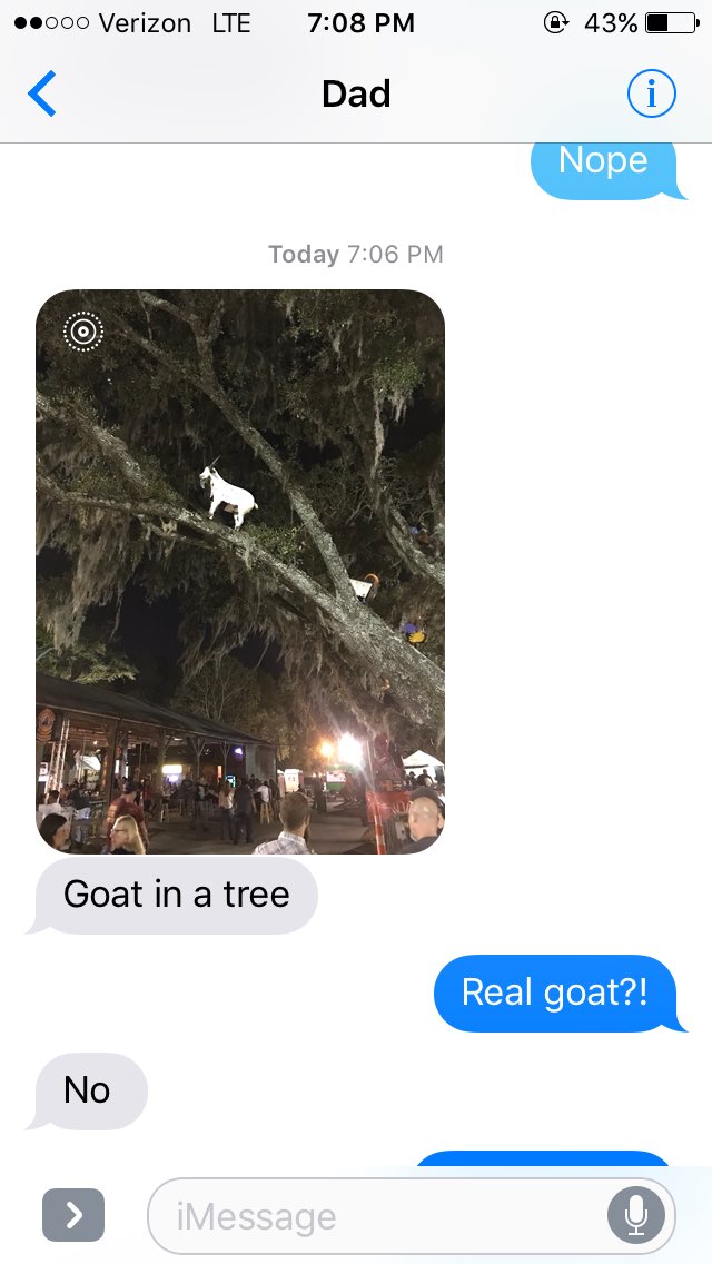 catsareme_'s tweet photo. #goatinatree #textswithdad https://t.co/JS6deftXSb