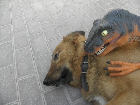 Cuando no quieres tomar alcohol pero tus amigos insisten.