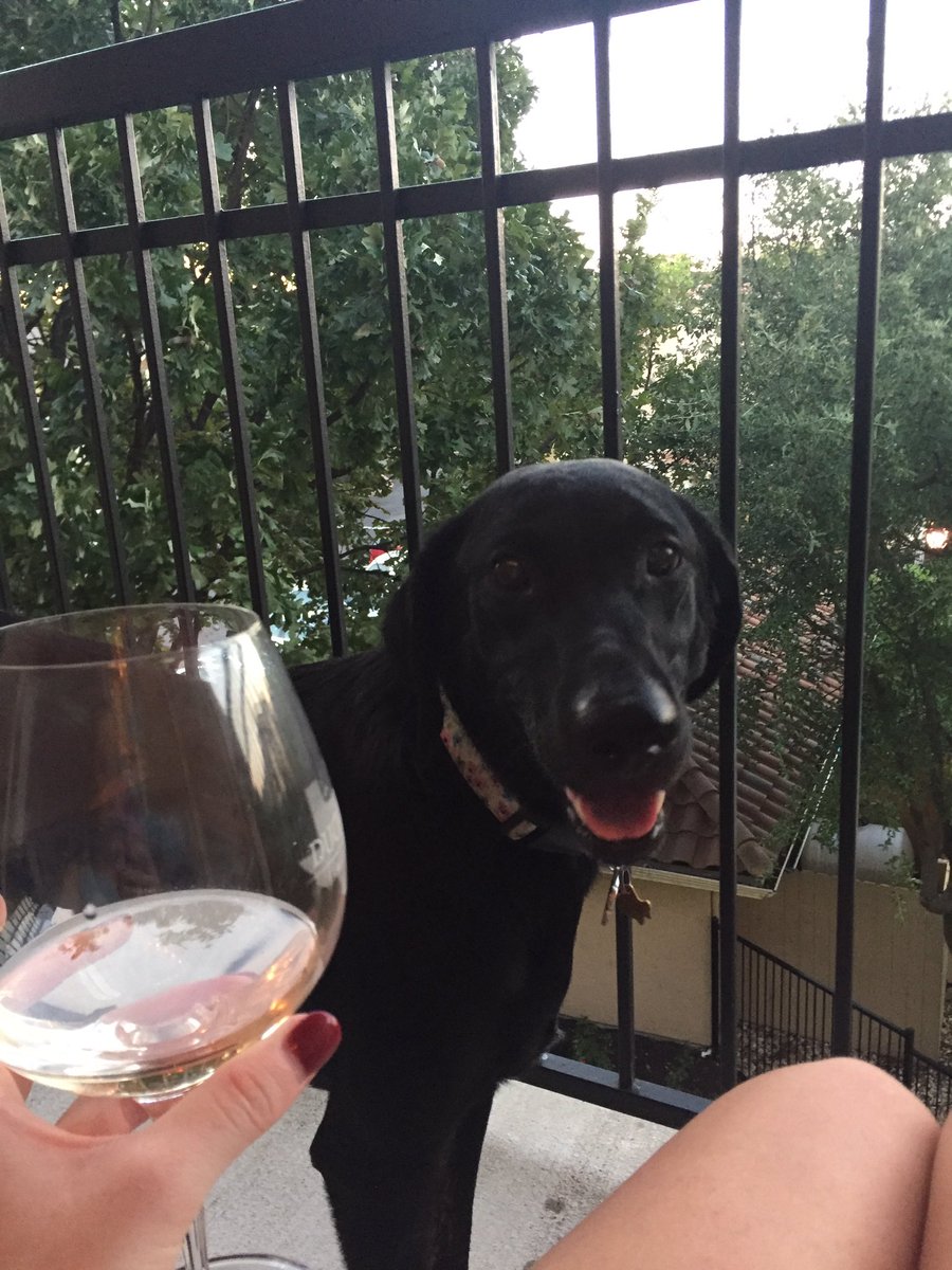 molls_marsh's tweet photo. You're not drinking alone if you're with your pup right?? https://t.co/RRamAHQoxj
