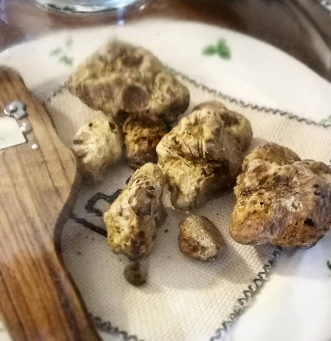 _WEEKENDIDEA_'s tweet photo. #Langhe #Barolo #Barbaresco Patrimonio dell'UNESCO #Tartufo #tartarediFassona #Tajarin #Bonet 😋😋😋 Benvenuto Autunno 🍁🍁🍁🍂🍂🍂 https://t.co/gBFDcDCYRG
