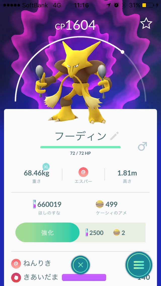 フーディンレイド