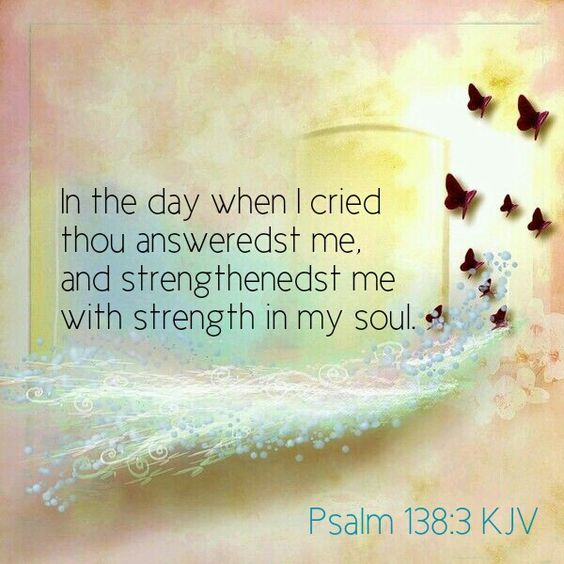 If you need wisdom,... 
Ask our generous God, 
And He will give it to you. 
He will not rebuke you for asking.
James 1:5🙌🦋🍃
