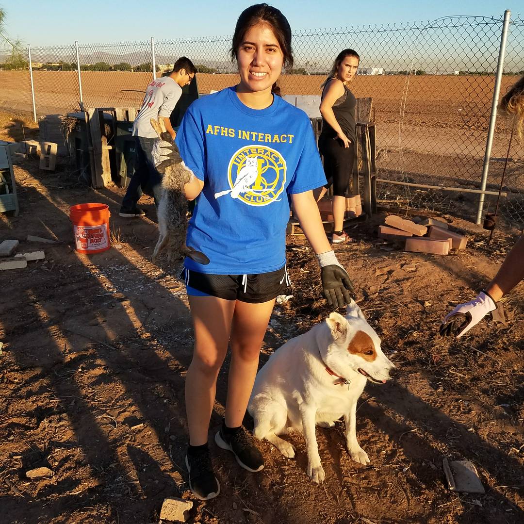 afhs interact club tweet media