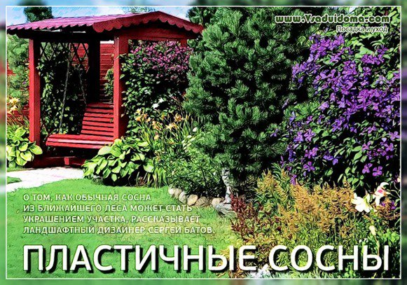 Виды опционов и их специфика в недвижимости Виды опционов и их специфика в недвижимости