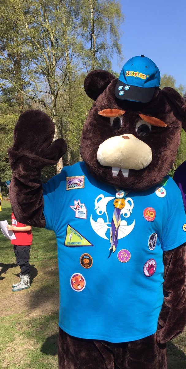 accbeaversws's tweet photo. Here you go #Jagzword this is @badgesBeaver mascot for @WestSussexScout Beavers. He collects Badges on his t shirt where ever he goes😁🐾 https://t.co/pdKLsbVVYo