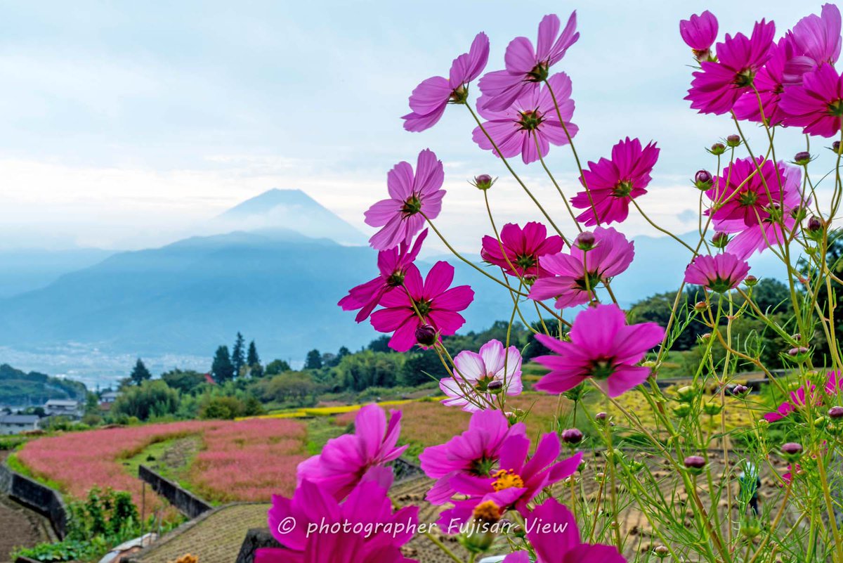 日本の田舎風景