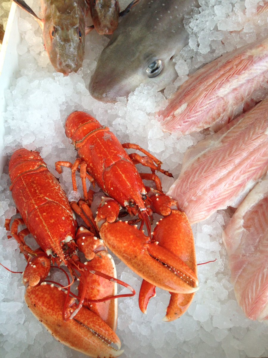 Come on joiners today at the Woodbridge Shuck