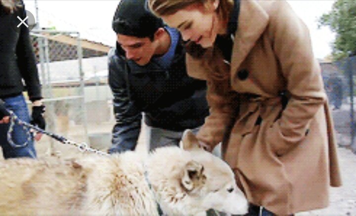 StartsWithABite's tweet image. 