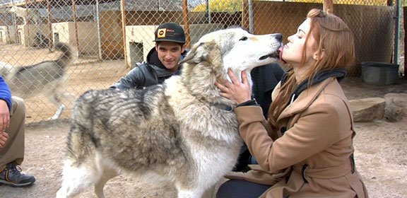 StartsWithABite's tweet image. 