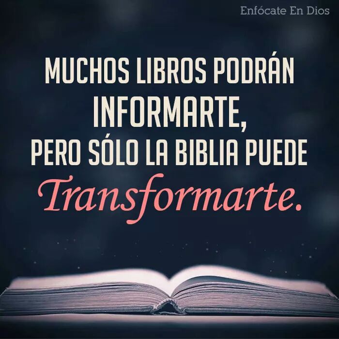 EnfocateEnDios's tweet photo. Muchos libros podrán informarte, pero sólo la #Biblia puede transformarte.
#EnfócateEnDios https://t.co/lc1b7iV5Ak
