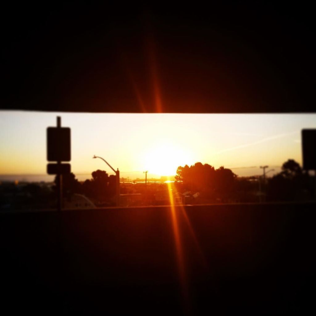 JasonPaperNaut's tweet photo. 📸89: #Sunrise by @alexpapernautilus! #Bloom #Sun #Rise #Framing #View # #ColorPhoto #Color #ColorPhotography #IGDaily #PhotoOfTheDay #PicOf… https://t.co/UodHML0qmN