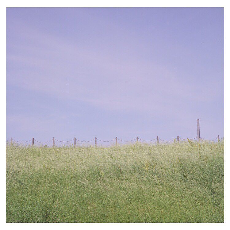 HisaFoto's tweet photo. 「#徒然ウォークアラウンド」
.
.
.
#rolleiflex #rolleiflex28d #ローライフレックス #carlzeiss #yokohama #フィルム #reco_ig #hueart_life #pics_… https://t.co/moSwNOkeys https://t.co/Z4lepaAC8q