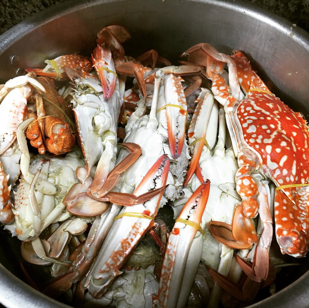cotuhomestay's tweet photo. Lý do bữa giờ hay bị say xẩm mặt mày là đây! Dư canxi quá mấy gái quơi Kkk https://t.co/OULhs7Q2Qg