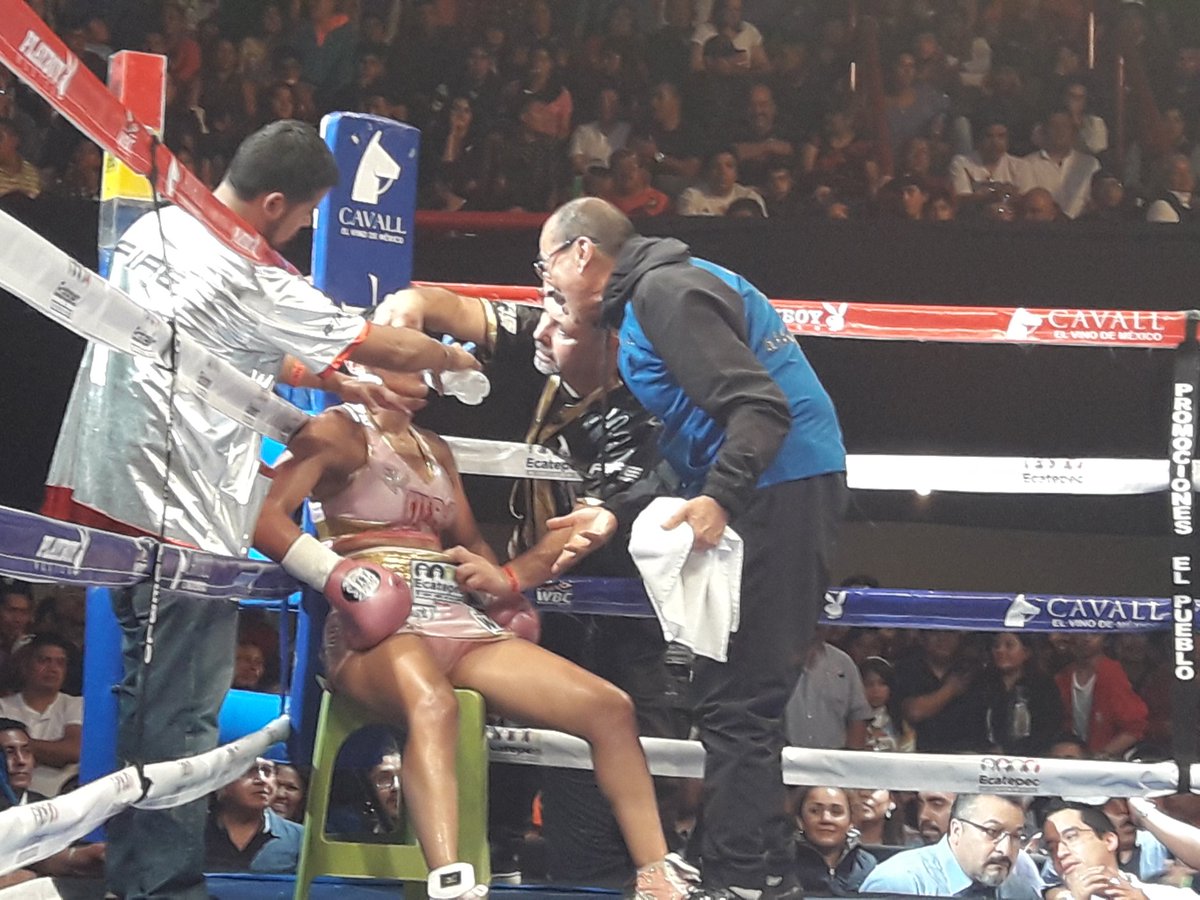 LatinKOprom's tweet photo. El gran Nacho Beristain da instrucciones a @YessiChav en la esquina
EN VIVO
#SabadosDeBox #ElBoxSeAma
@TD_Deportes
@oskuchle https://t.co/D9fUJomAvD