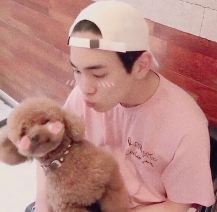 softboybot's tweet image. ↳ #SHINEE ˖☽°.* #KEY ˖*°࿐*ೃ  .  ⋆