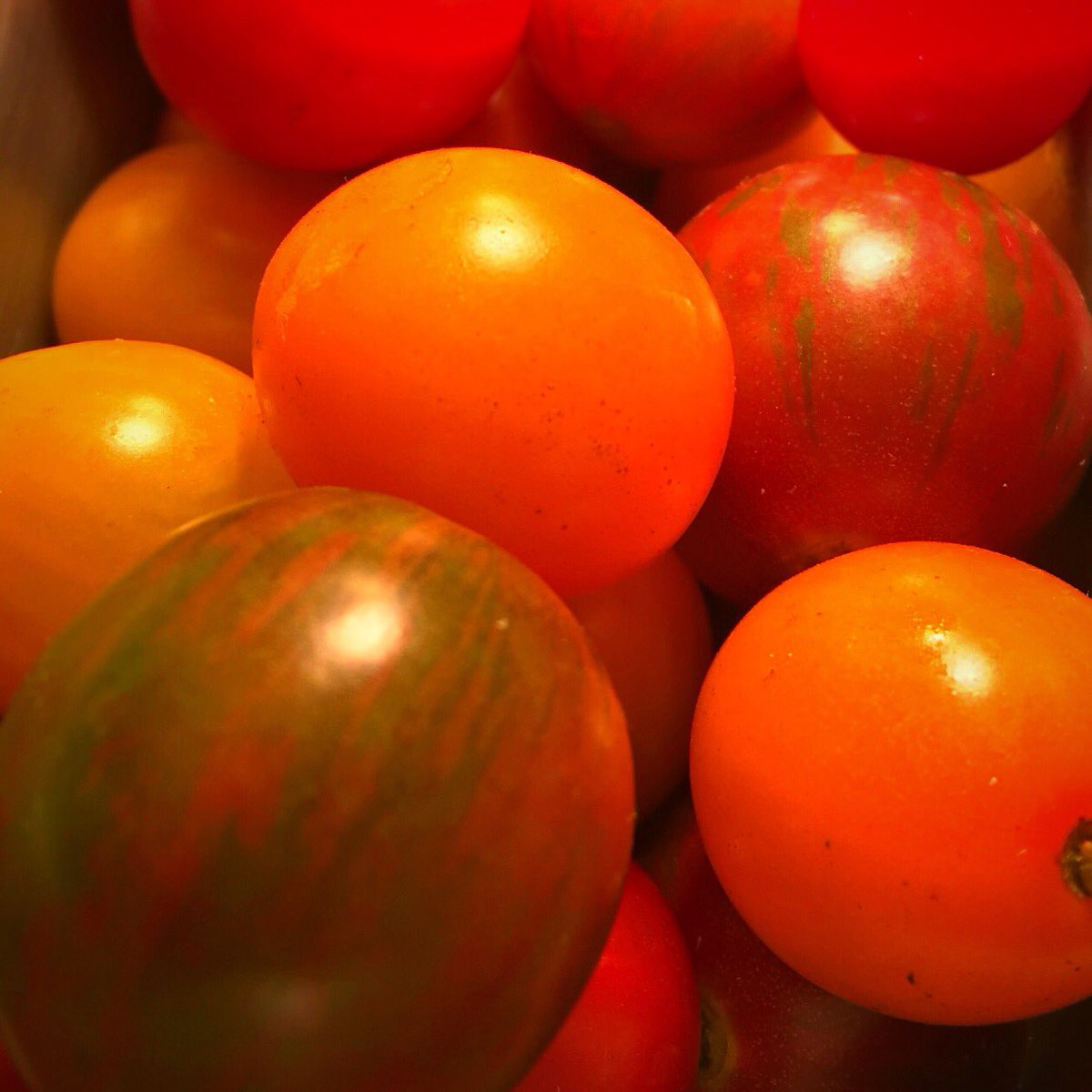 🍅Only a few weeks until our local heirloom tomatoes leave us!  Enjoy them fresh n our tomato salad or charred in our grilled zucchini salad🍅