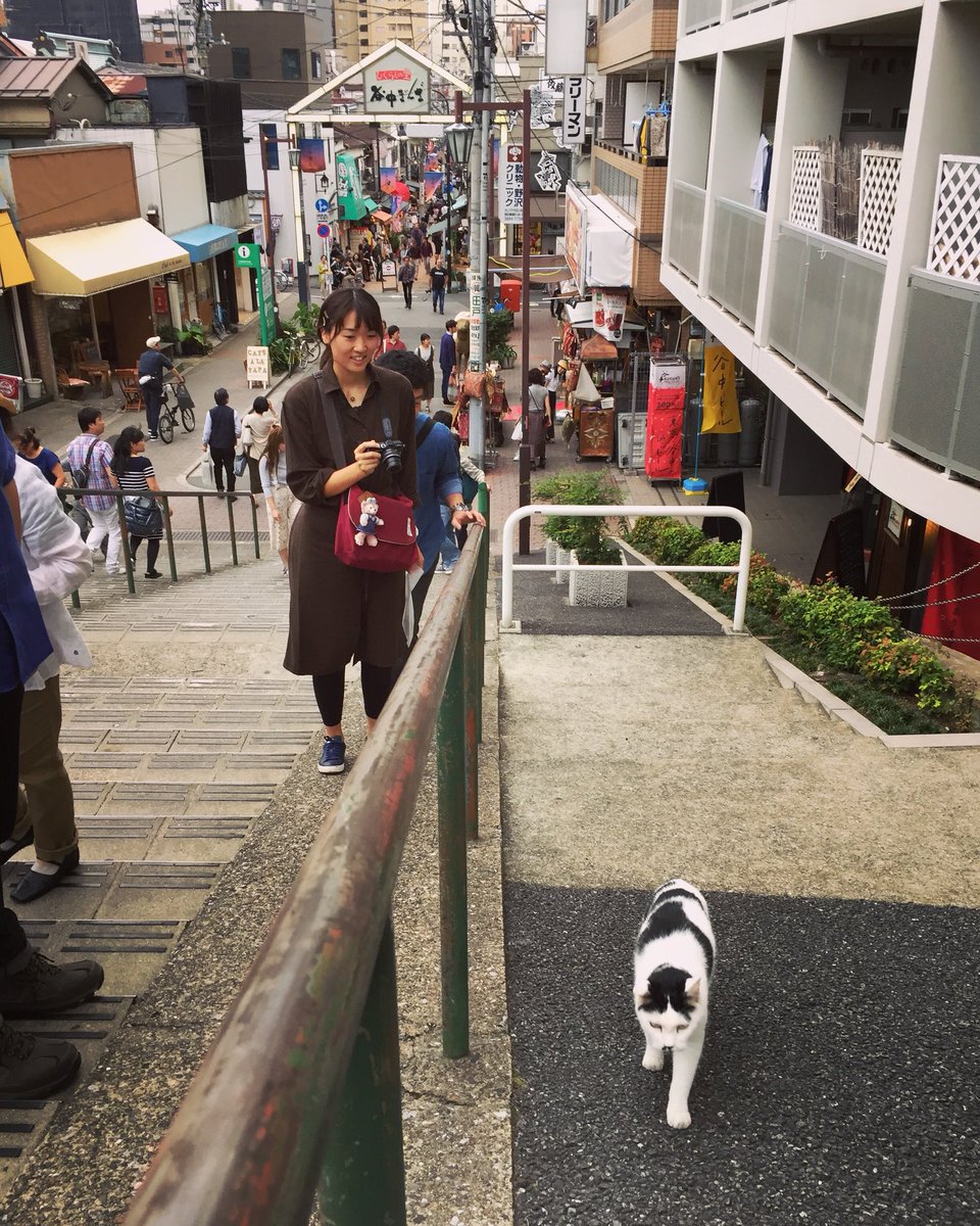 ちーたー 谷中銀座 夕焼けだんだん坂と猫 谷中銀座 夕焼けだんだん 猫