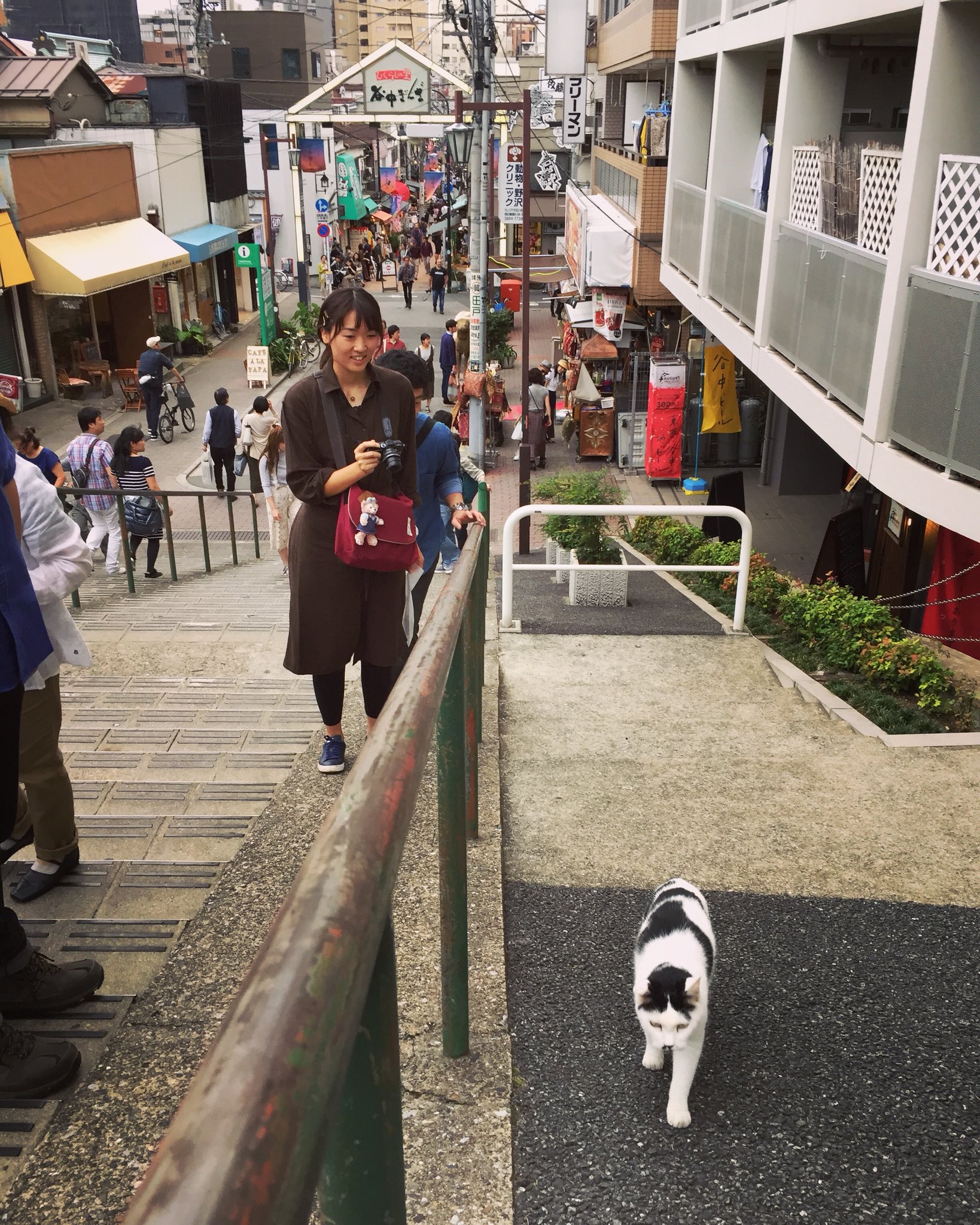 ちーたー 谷中銀座 夕焼けだんだん坂と猫 谷中銀座 夕焼けだんだん 猫 T Co U5cypcoapg Twitter