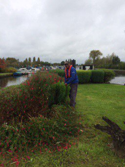 Bush monster caught in the act at #sawleylock.