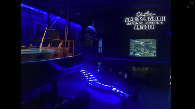 Largest fish and wildlife attraction in the world opens in Springfield, Missouri - ow.ly/Ebbo30fxhLX