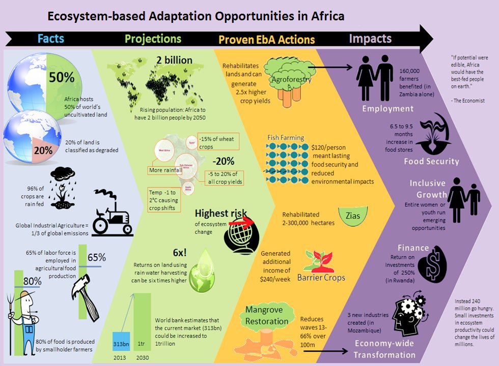 RichardMunang's tweet photo. A continent that cannot feed herself cannot prosper. #Africa has an opportunity to grow n process #food #EBAFOSA #InnovativeVolunteerism https://t.co/bPlkwl2Hbf