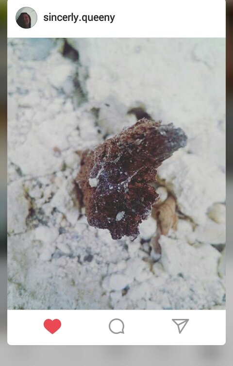 queeny_castillo's tweet photo. Instagram: Sincerely. queeny https://t.co/rhcpW6BVtf