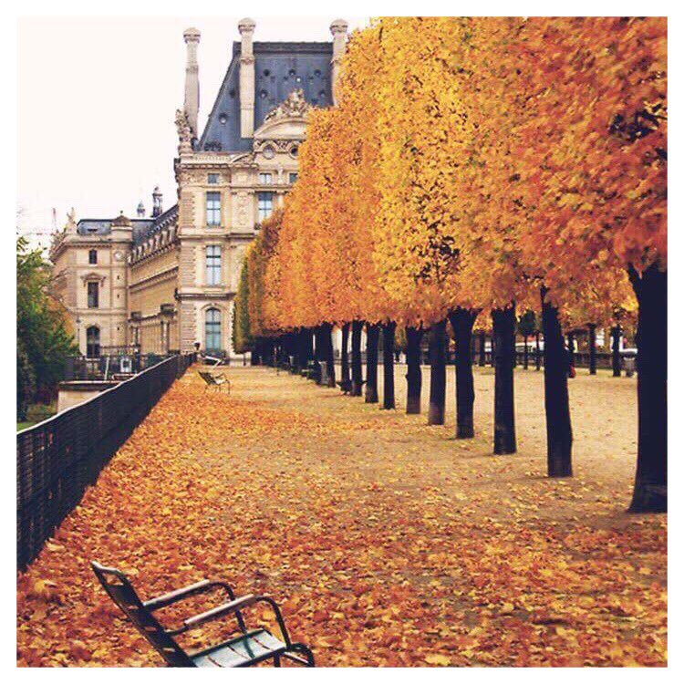 _Jaydexx's tweet photo. Love this time of year ☺️ Fallen leaves 🍁 Halloween 🎃 👻 Bonfire night 🔥💥 

And it’s a new month 📅 So that means new goals ✍🏻 Myself and the team are ready to make October one to remember 😍 &amp; its only 13 days until the #JPLive Convention, EXCITED 😆👌🏻🎀 https://t.co/i0T9r7MltF