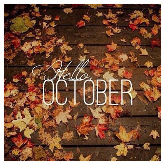 _Jaydexx's tweet photo. Love this time of year ☺️ Fallen leaves 🍁 Halloween 🎃 👻 Bonfire night 🔥💥 

And it’s a new month 📅 So that means new goals ✍🏻 Myself and the team are ready to make October one to remember 😍 &amp; its only 13 days until the #JPLive Convention, EXCITED 😆👌🏻🎀 https://t.co/i0T9r7MltF