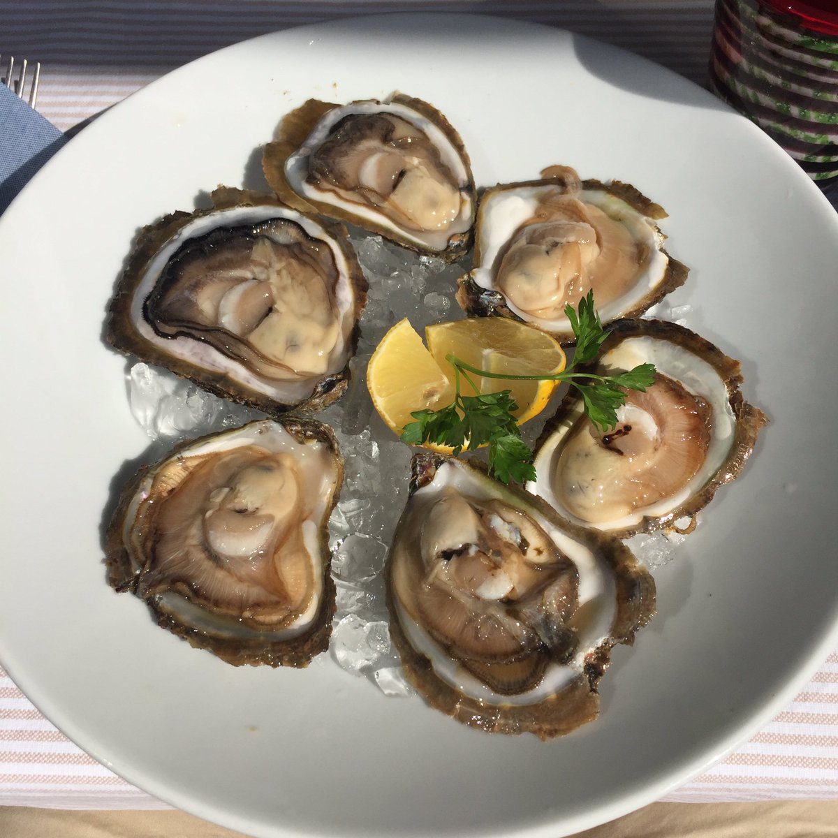 The Raeve Review tweet media