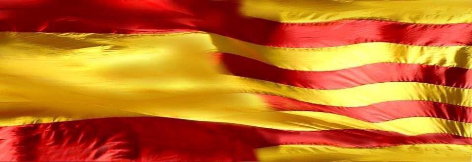 AlphaXXXVI's tweet photo. Hoy es #1Oct, ayer fue 30 sept, mañana será día 2 y Cataluña fue y será siempre de España.

¡Demostremos que somos más!
#CatalanReferedendum https://t.co/SRvfLR0ZLE