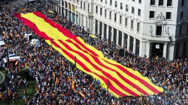 AlphaXXXVI's tweet photo. Hoy es #1Oct, ayer fue 30 sept, mañana será día 2 y Cataluña fue y será siempre de España.

¡Demostremos que somos más!
#CatalanReferedendum https://t.co/SRvfLR0ZLE