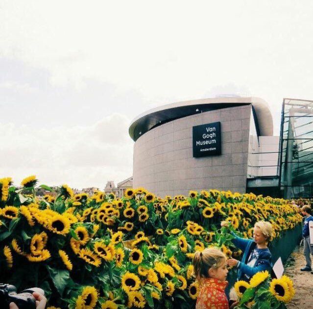 TuvaIdekiSanat's tweet photo. Sunflower Maze Van Gogh Museum Amsterdam https://t.co/QF6yT9GTPD
