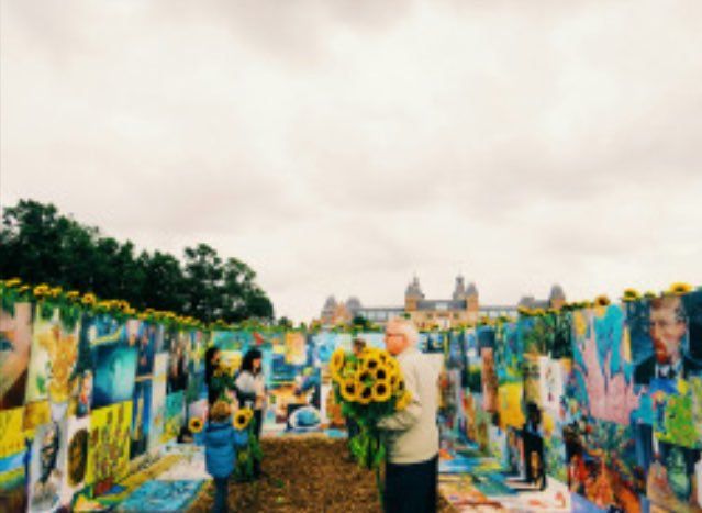 TuvaIdekiSanat's tweet photo. Sunflower Maze Van Gogh Museum Amsterdam https://t.co/QF6yT9GTPD