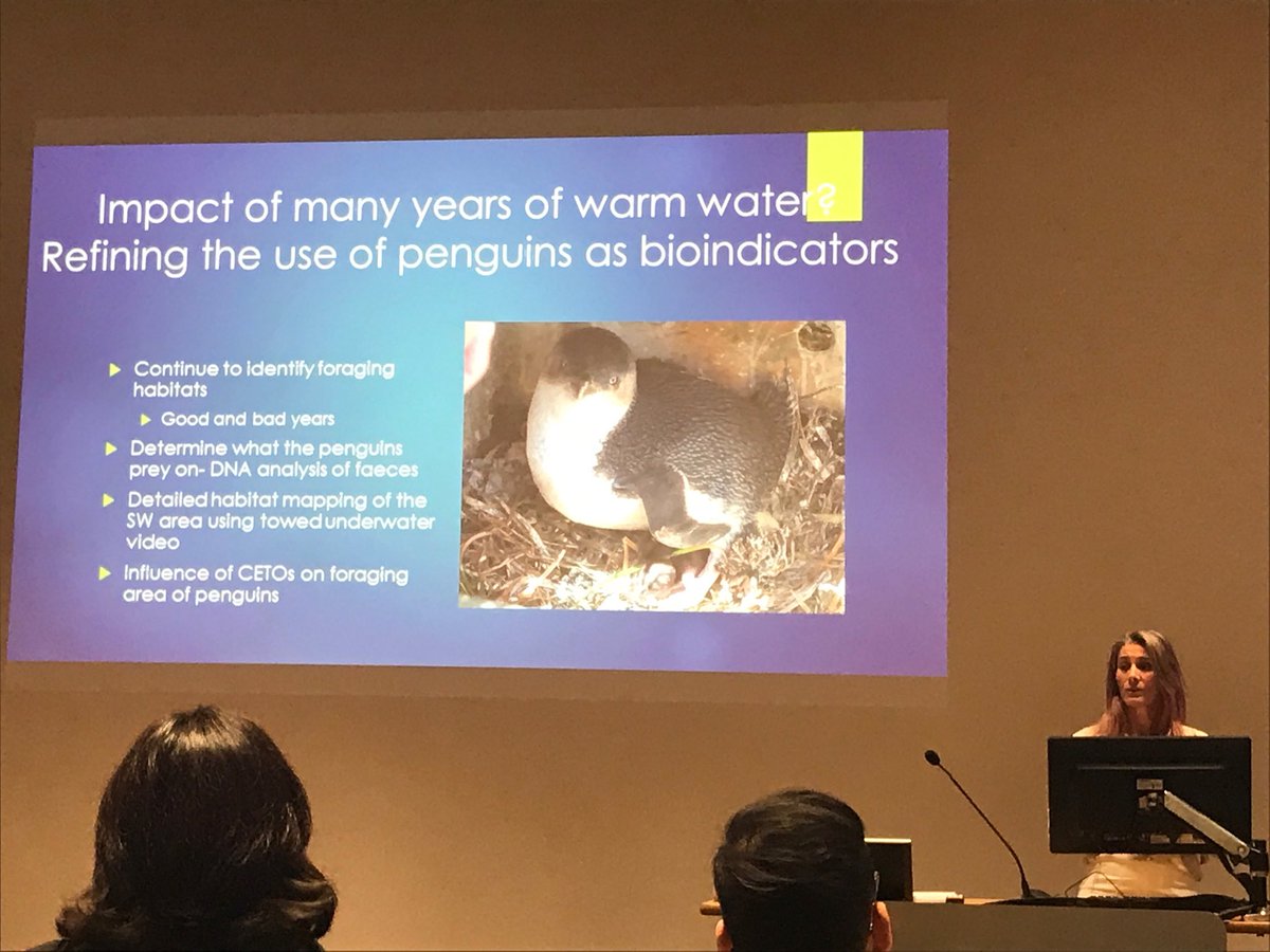 PaulTho12913604's tweet photo. Dr Belinda Connell talking penguins at @uwaoceans blue zone open day #ITZ2017 #IOMRC https://t.co/SNF8lZgiIh