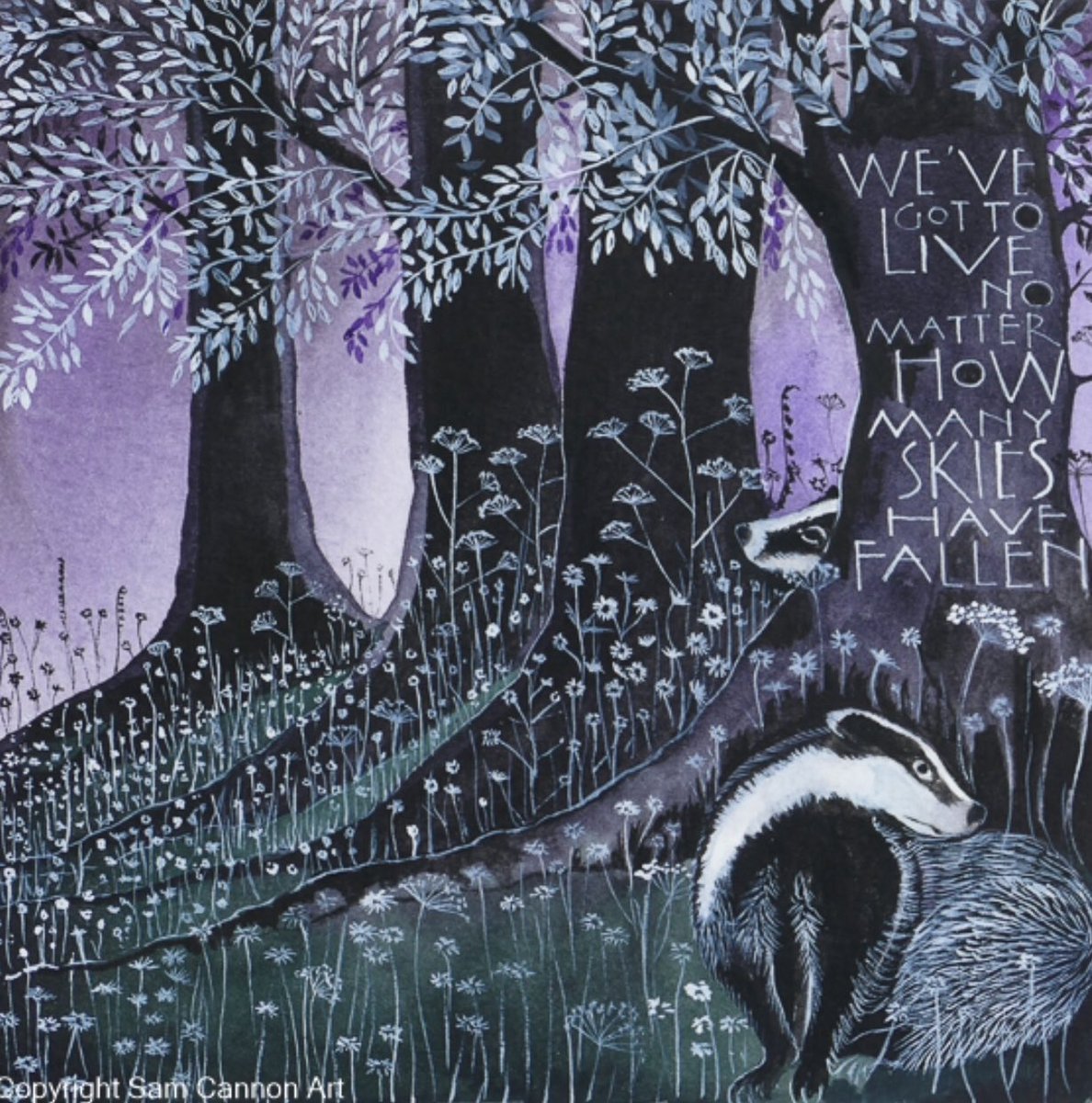 SamCannonArt's tweet photo. This picture is being auctioned to raise funds for Badger Protection Group W.Dorset on facebook. Please take a look - an amazing group! https://t.co/15JgTRG5fg