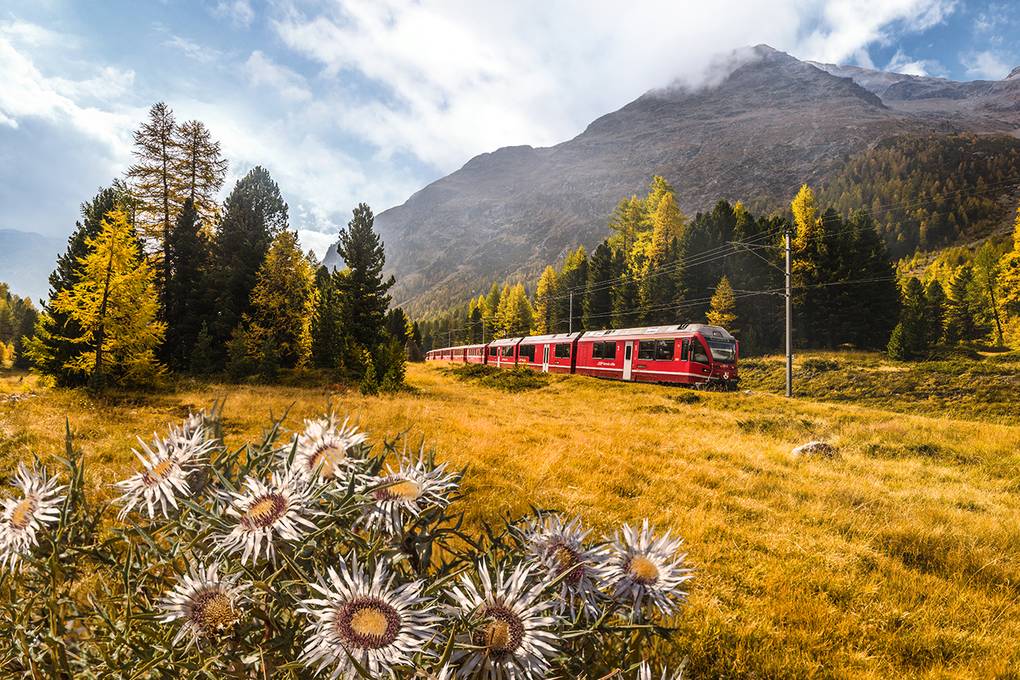 vivadisentis's tweet photo. Ab Montag mit @rhaetischebahn für CHF 35.00 durch ganz @Graubunden Aktion #Silberdistel #RhB https://t.co/v4fXt5uKCA #VERLIEBTindieSCHWEIZ https://t.co/zS9OOSI7I1