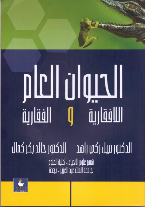 شبكة سيدات مصر